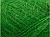Tilia 279