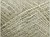 Tilia 355