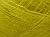 Tilia 367