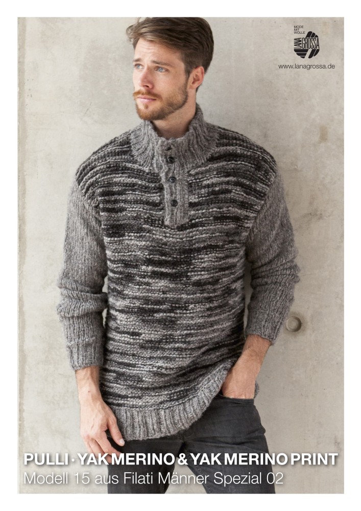 Pullover Modell 15 aus Filati Männer Spezial 02