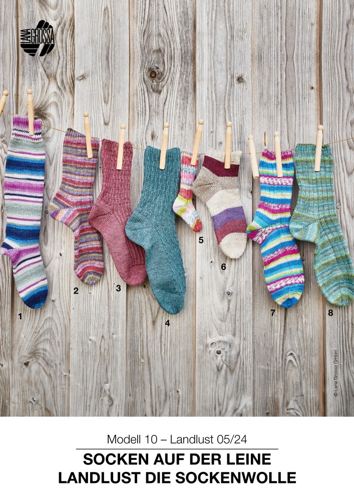 Socken auf der Leine – Landlust Die Sockenwolle