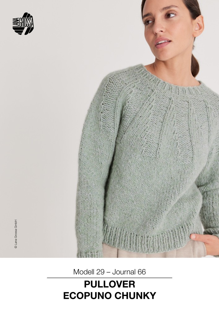 Pullover Ecopuno Chunky