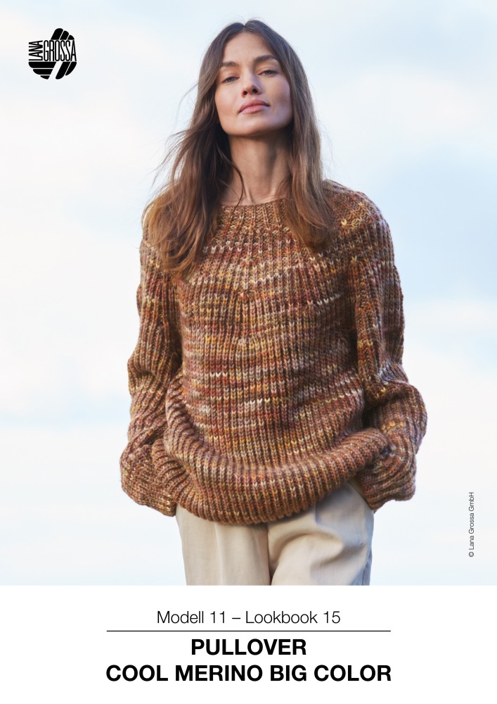 Pullover Cool Merino Big Color