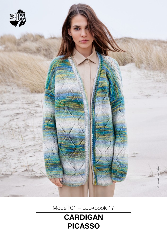Cardigan Picasso